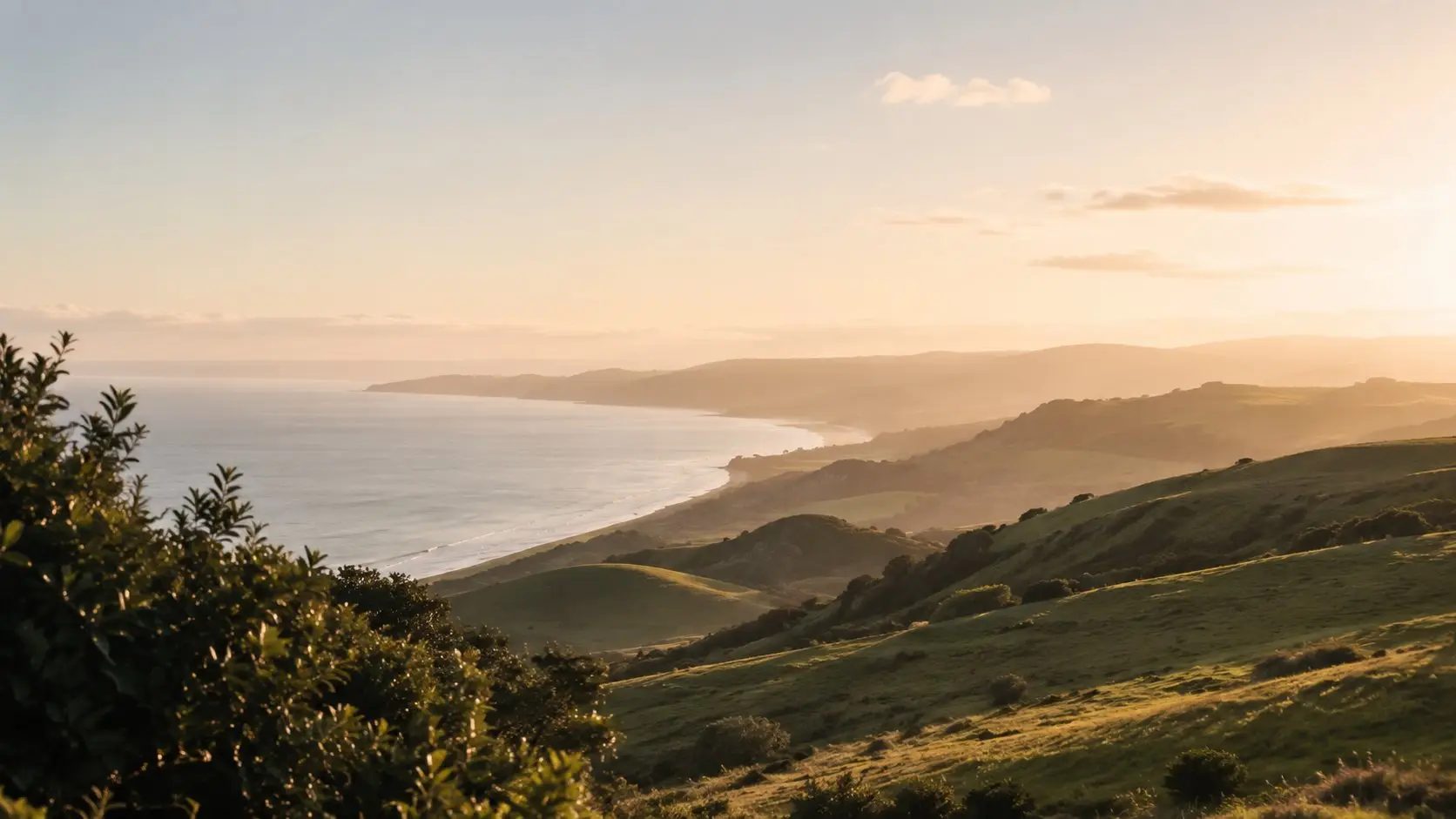 Coastal hillside farmland and lifestyle-block landscape at golden hour